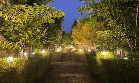 Night, Natural landscape, Garden view