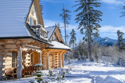 Property building, Winter, Mountain view