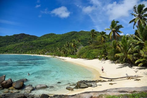 Beach, Beach