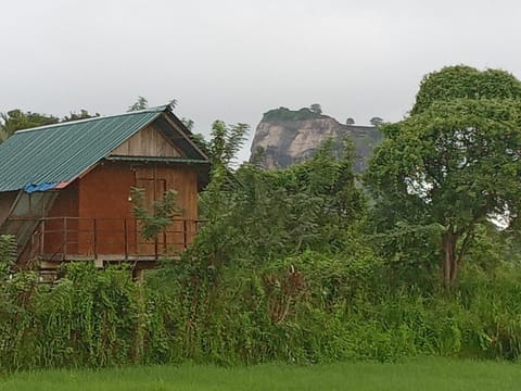 Property building, Neighbourhood, Garden