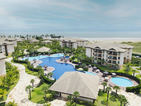 Day, Bird's eye view, Swimming pool