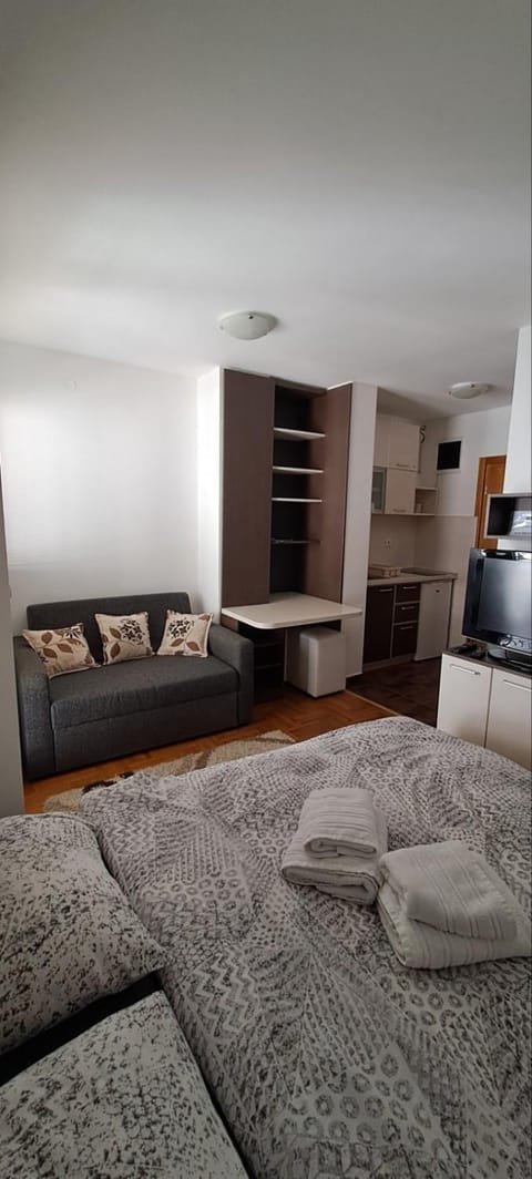 Zlatiborski konaci k17 i K19 Apartment in Zlatibor