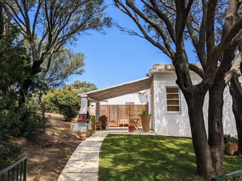 Property building, Day