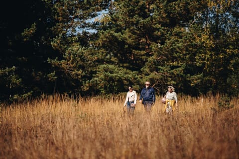 Summer, Hiking, Autumn