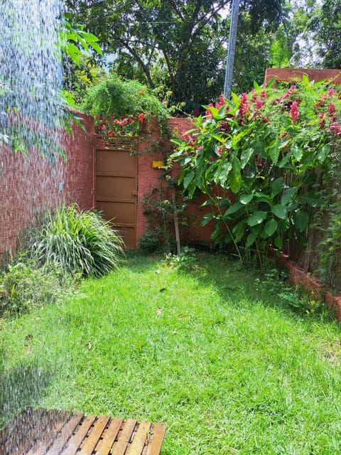Garden, Garden view