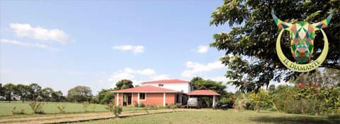 Natural landscape, Garden view