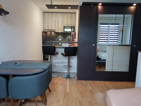 Charmant studio classé 3 étoiles au coeur de Niederbronn-les-Bains Apartment in Baden-Württemberg