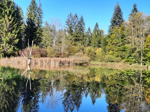 Ferienwohnung Alpenflair Apartment in Salzburgerland
