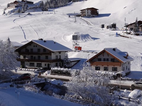 Winter, Area and facilities