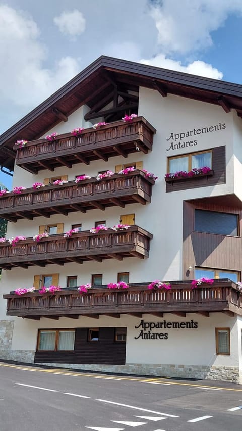 Property building, Summer