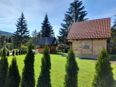 Tisina Tare House in Zlatibor District, Serbia