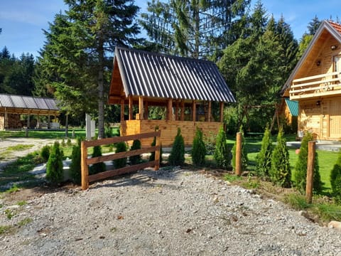 Tisina Tare House in Zlatibor District, Serbia
