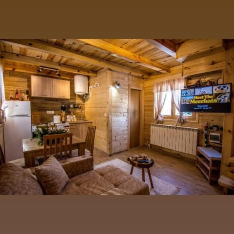 Tisina Tare House in Zlatibor District, Serbia