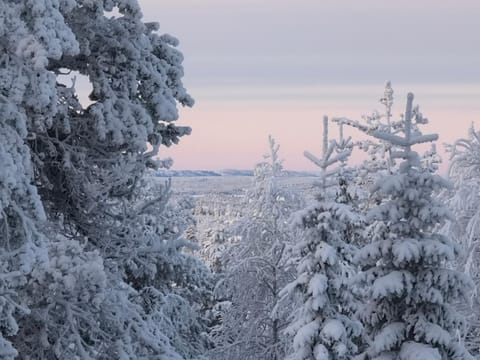Hietavilla Pläk- Hot tube - Sauna - Fireplace - 11kW EV-refuel - Landscape view - Silence - Free WiFi Villa in Lapland