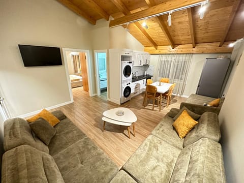 Communal lounge/ TV room, TV and multimedia, Living room, Seating area, Evening entertainment, fireplace, washing machine, dryer, air conditioner