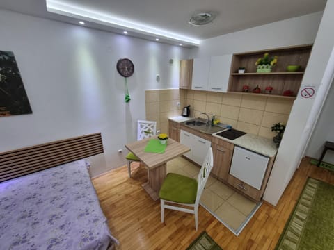 ZVEZDA LUX Apartment in Serbia