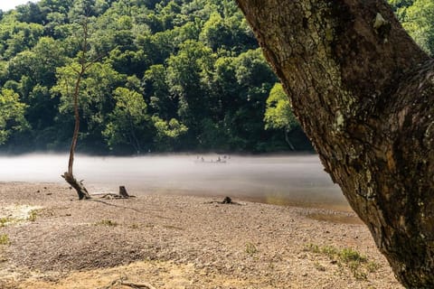 Ozark Mountain Retreat, Family Condo with Resort Amenities Apartment hotel in Branson