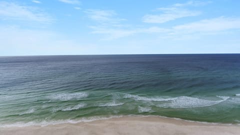 Majestic 1-1606! Gulf front 1bedroom, Pool,Hot Tubs,Tennis House in Long Beach