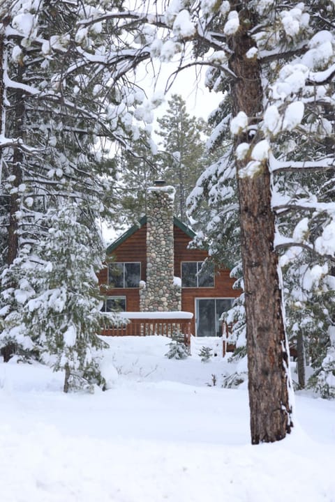 Property building, Winter
