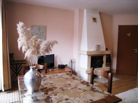 Solar nest with fireplace and mountain view - near ski lift and center Apartment in Bansko