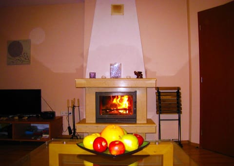 Solar nest with fireplace and mountain view - near ski lift and center Apartment in Bansko
