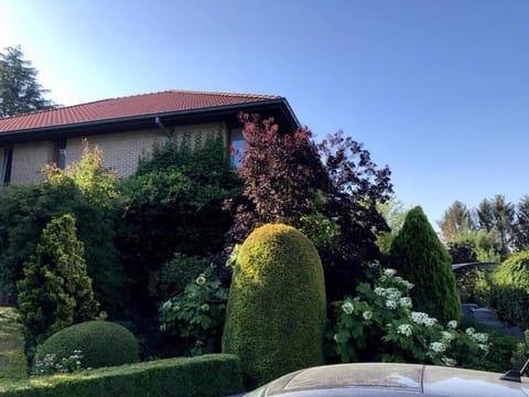 Property building, Spring, Day, Garden