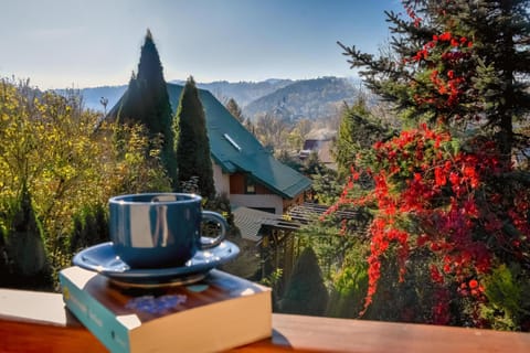 Balcony/Terrace, Balcony/Terrace, Mountain view