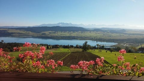 Nearby landmark, Spring, Day, Natural landscape, Lake view, Landmark view, Mountain view, River view