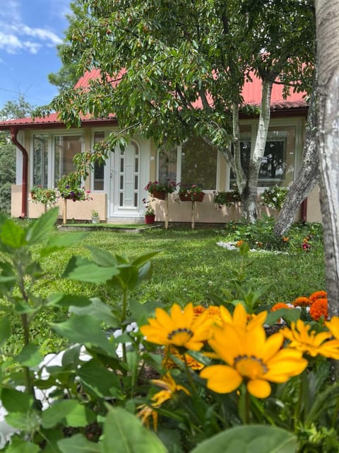 DION Kolašin Apartment in Montenegro