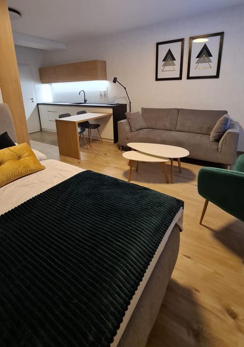 Kitchen or kitchenette, Living room, Bedroom