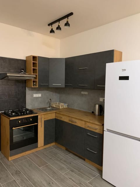 Kitchen or kitchenette, dishwasher, oven, stove