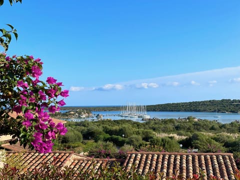 Natural landscape, Sea view