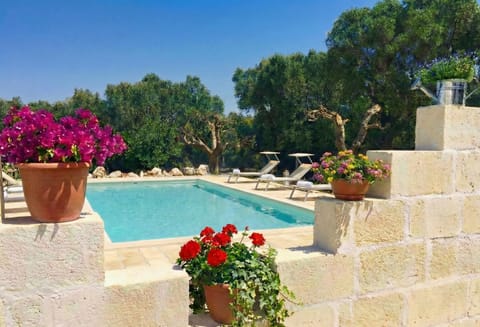 Spring, Garden, Garden view, Pool view, Swimming pool, sunbed