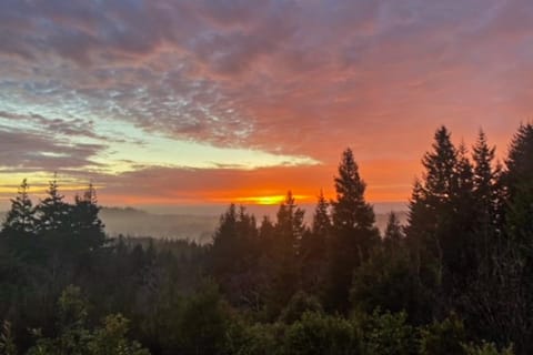 Hummingbird Hideout House in Port Orford