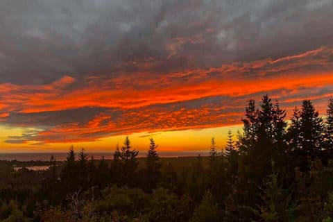 Hummingbird Hideout House in Port Orford