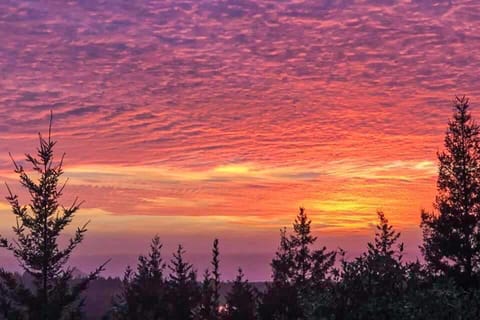 Hummingbird Hideout House in Port Orford