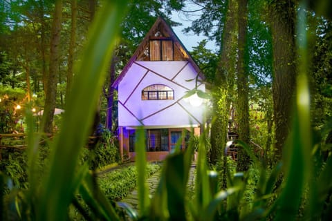 Property building, Facade/entrance, Natural landscape, Garden view