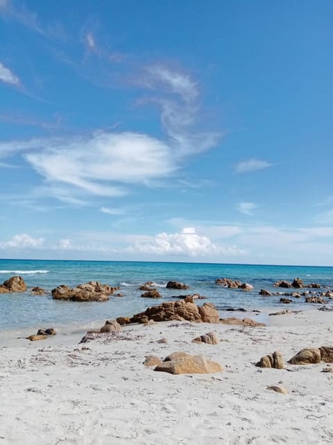 Casa Saba Lupino Apartment in Orosei