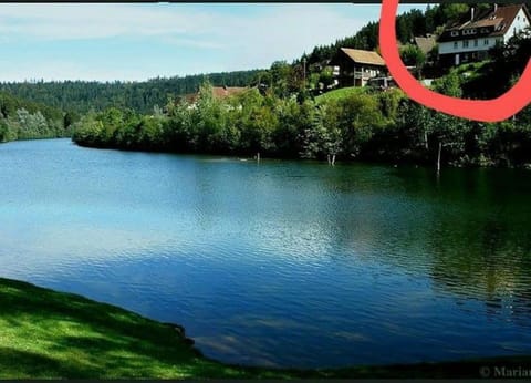 Lake view