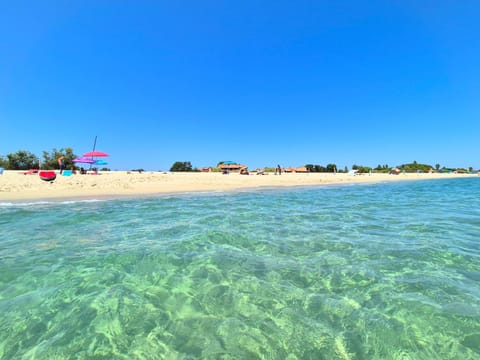 Natural landscape, Summer, Beach
