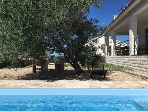 Garden, Swimming pool, Swimming pool