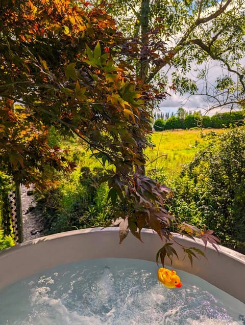 Riverside Cottage at Logwood Mill House in Northern Ireland