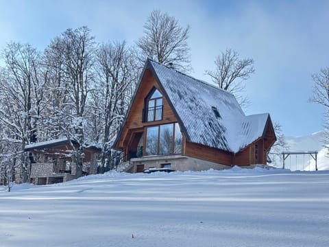 Vila Sun forest Villa in Montenegro
