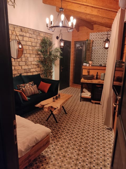 Bed, Kitchen or kitchenette, Living room, Seating area