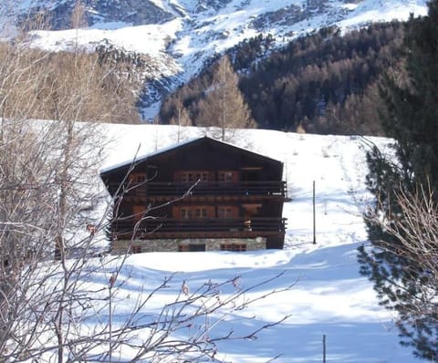 Chalet Singlinaz Apartment in Canton of Valais