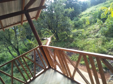Balcony/Terrace, Garden view