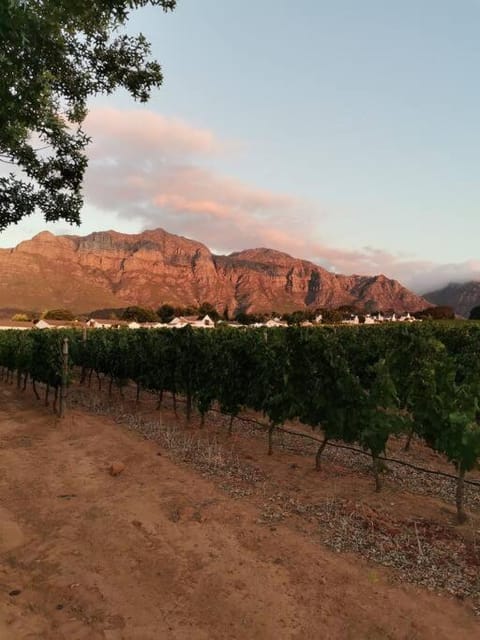 A Touch of Country House in Stellenbosch