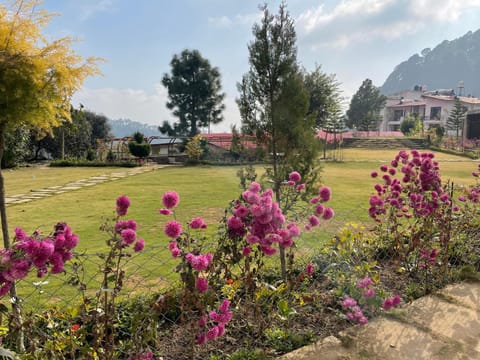 Garden, Garden view