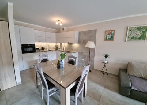 Kitchen or kitchenette, Dining area, stove