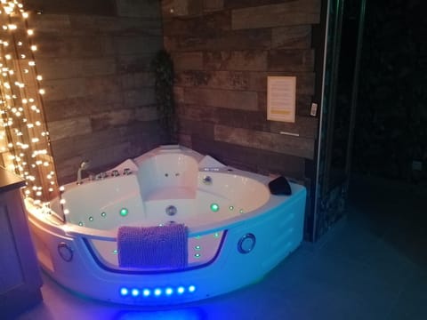 Romantisme et glamour 2 avec spa , clim et jardin Apartment in Dijon